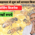 Business Idea hindi