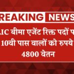 LIC Mahila Agent